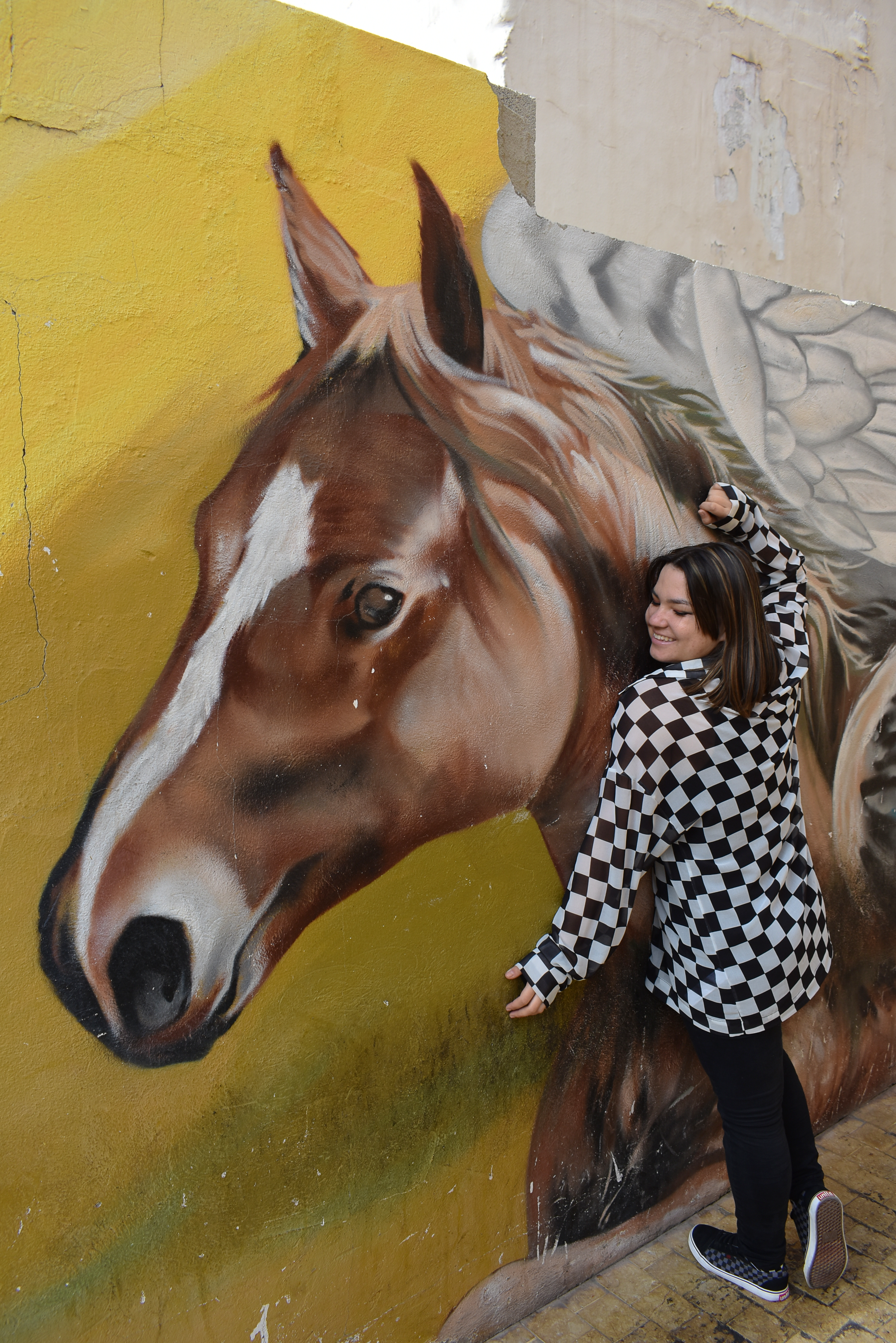 chica abrazando grafitti de caballo