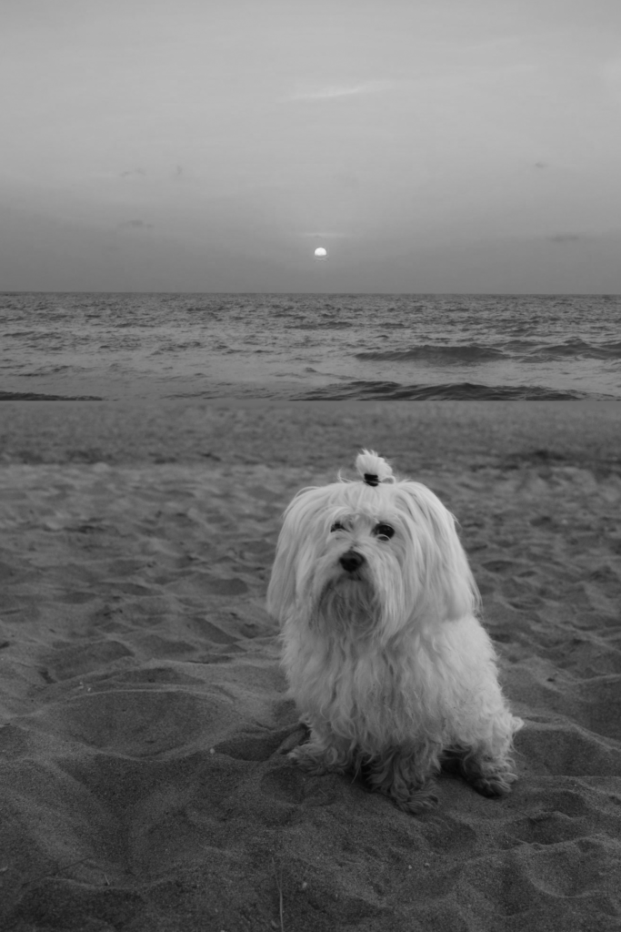 Marlon y la playa